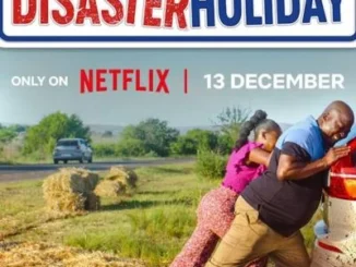 Disaster Holiday (2024)