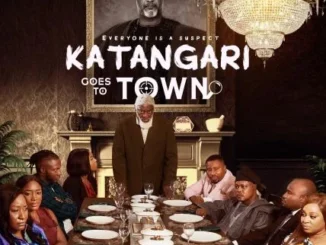 Katangari Goes to Town (2025)