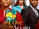 Love Me Agian (2024) – Nollywood Movie
