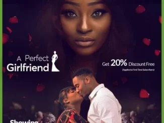 A Perfect Girlfriend – Nollywood Movie