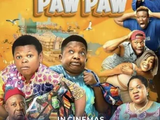 Aki and Paw Paw (2021) – Nollywood Movie