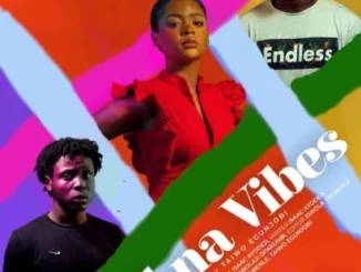 All Na Vibes (2021) – Nollywood Movie