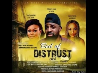 Bed of Distrust – Nollywood Movie