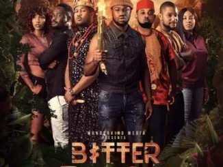 Bitter Rain (2021) – Nollywood Movie