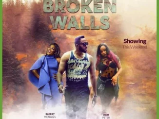 Broken Walls – Nollywood Movie