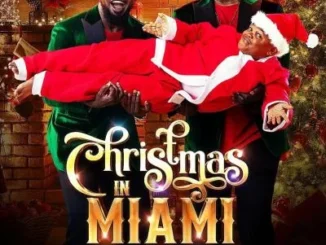 Christmas in Miami (2021) – Nollywood Movie