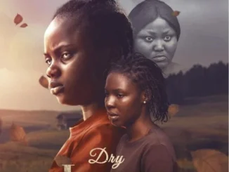 Dry Leaves (2022) – Nollywood Movie