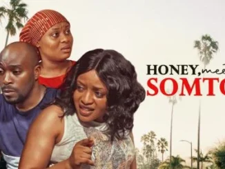 Honey, Meet Somto – Nollywood Movie