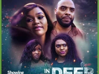 In The Deep – Nollywood Movie