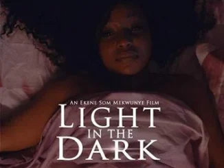 Light In The Dark – Nollywood Movie