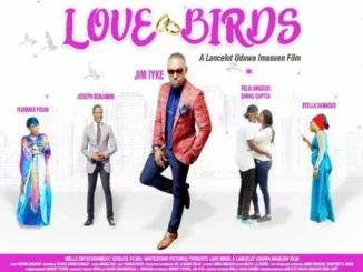 Love Birds – Nollywood Movie