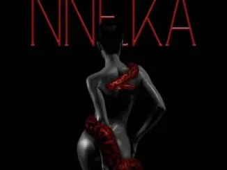 Nneka the Pretty Serpent – Nollywood Movie