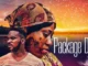 Package Deal – Nollywood Movie