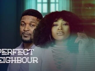 Perfect Neighbour – Nollywood Movie