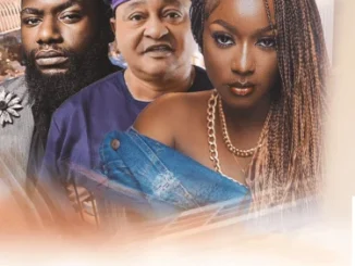 Safe (2022) – Nollywood Movie