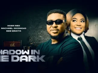 Shadow In The Dark – Nollywood Movie
