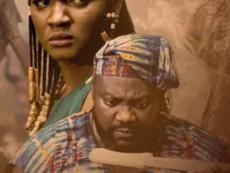 Shadow Parties – Nollywood Movie