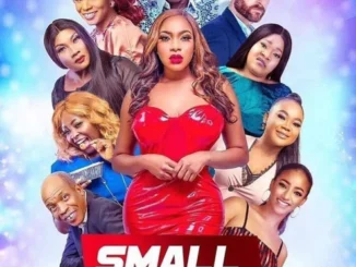 Small Chops – Nollywood Movie