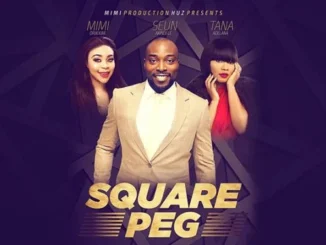 Square Peg – Nollywood Movie