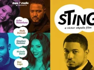 Sting – Nollywood Movie