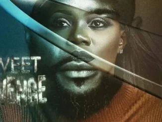 Sweet Revenge – Nollywood Movie
