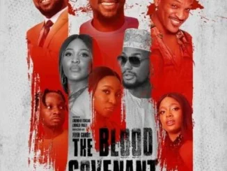 The Blood Covenant (2022) – Nollywood Movie