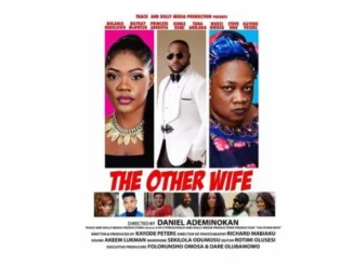 The Other Wife – Nollywood Movie