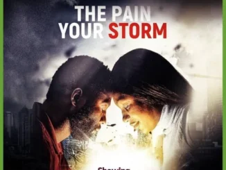 The Pain, Your Storm – Nollywood Movie
