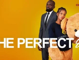 The Perfect Ex (2022) – Nollywood Movie