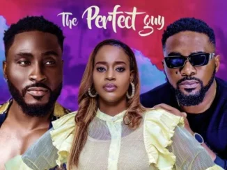 The Perfect Guy – Nollywood Movie