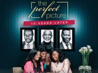 The Perfect Picture: Ten Years Later – Nollywood Ghallywood Movie?