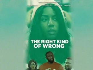 The Right Kind of Wrong – Nollywood Movie