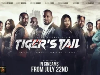 Tiger’s Tail (2022) – Nollywood Movie