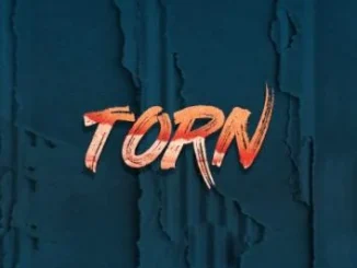 Torn – Nollywood Movie