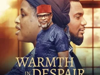 Warmth in Despair (2022) – Nollywood Movie