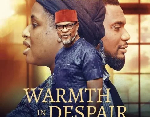 Warmth in Despair (2022) – Nollywood Movie