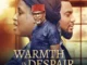 Warmth in Despair (2022) – Nollywood Movie