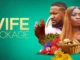 Wife Package – Nollywood Movie