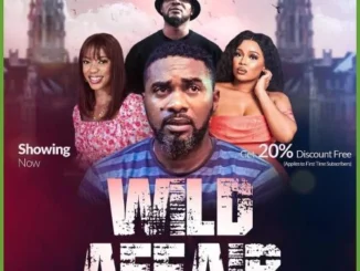 Wild Affair – Nollywood Movie