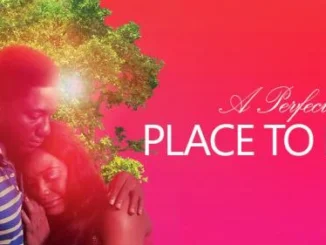 A Perfect Place To Die – Nollywood Movie