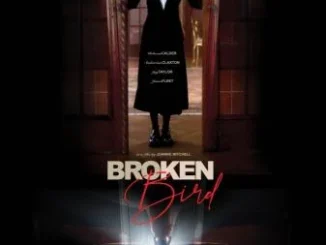 Broken Bird (2024)