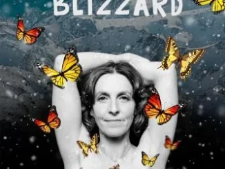 Butterfly In A Blizzard (2025)