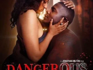 Dangerous Affair (2024)