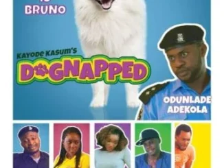Dognapped – Nollywood Movie