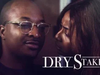 Dry Stakes – Nollywood Movie