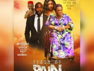 Flash Of Pain – Nollywood Movie