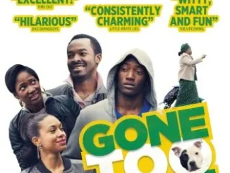 Gone Too Far – Nollywood Movie