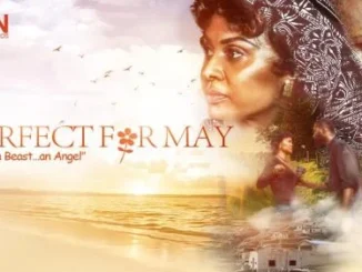 Perfect For May – Nollywood Movie