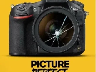 Picture Perfect – Nollywood Movie