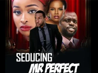 Seducing Mr Perfect – Nollywood Movie